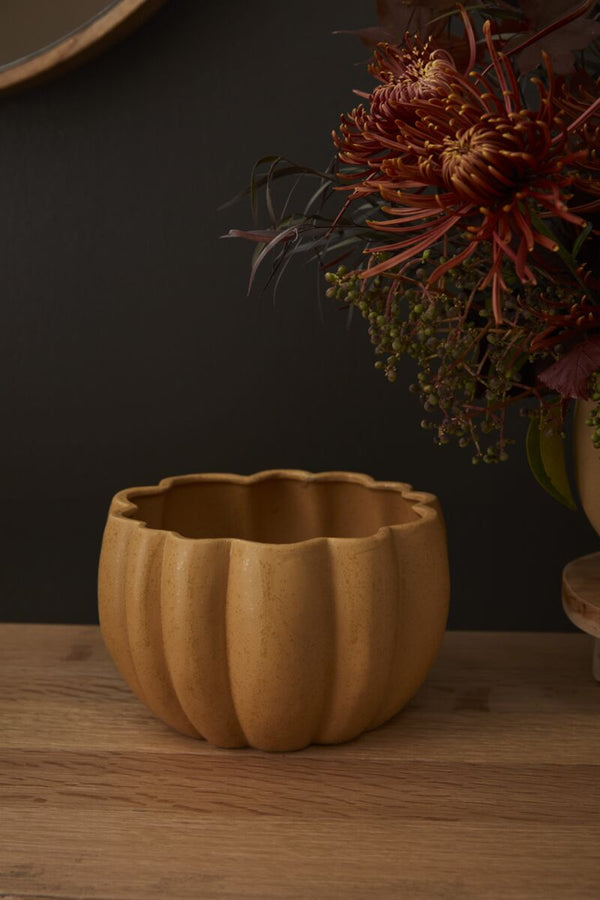 Spiced Pumpkin Pots (4 options)
