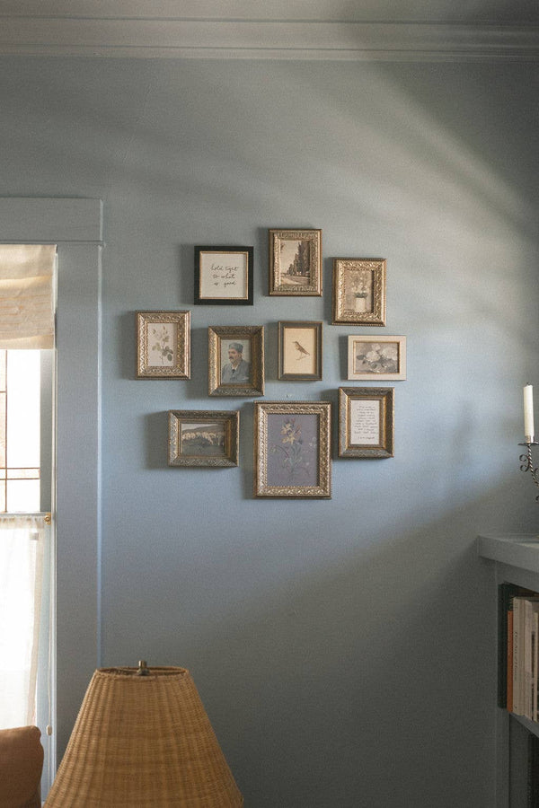 Antique Bird Art - Framed 7x9 Canvas Print