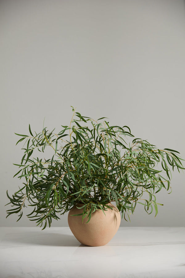 Best Terracotta Vase