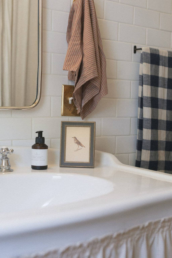 Antique Bird Art - Framed 7x9 Canvas Print