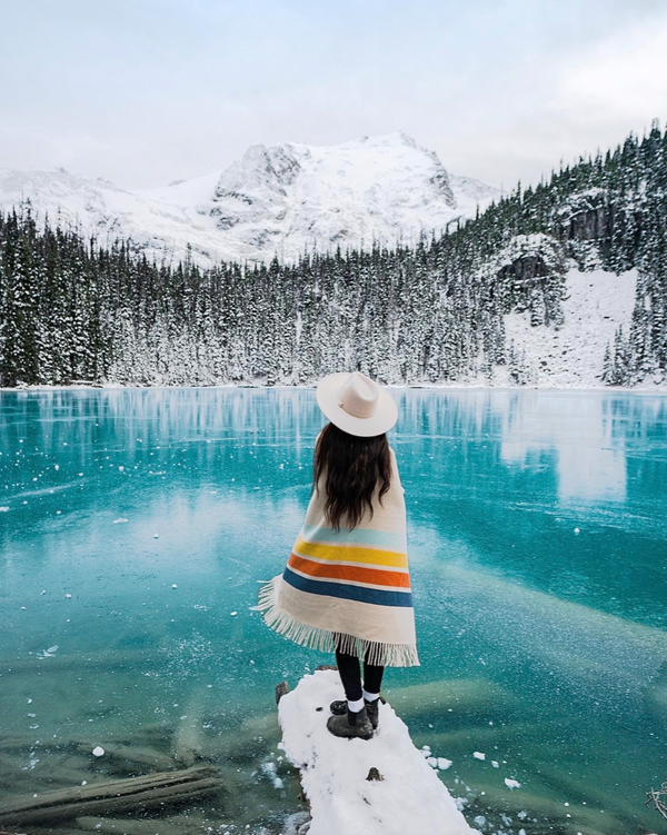 Cozy Mountain Throw Blanket 