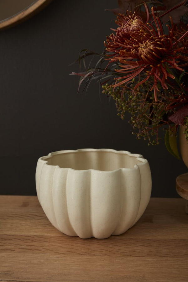 Spiced Pumpkin Pots (4 options)