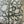 Willow Floral Pillow