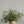 Best Terracotta Vase