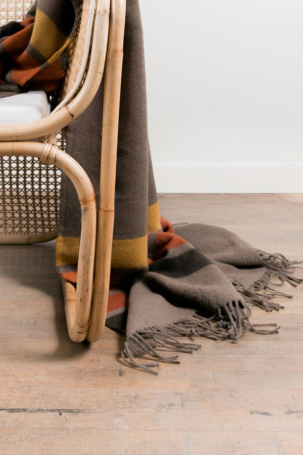Cozy Mountain Throw Blanket 