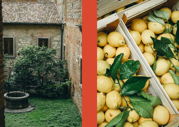 Cucina Povera