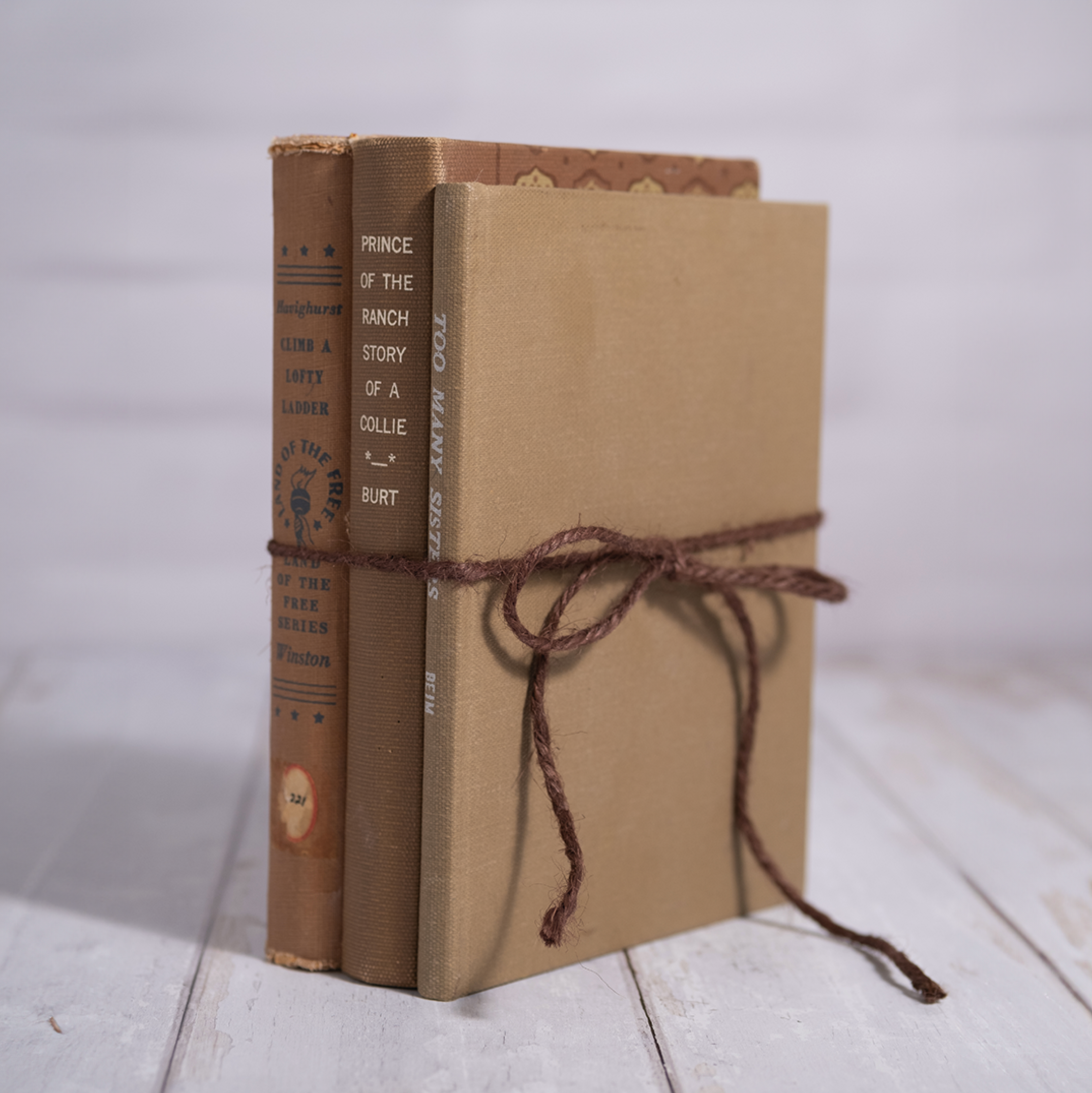 Decorative Vintage Books - Set of 3