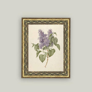 Lilac Branch Framed Antique Art 