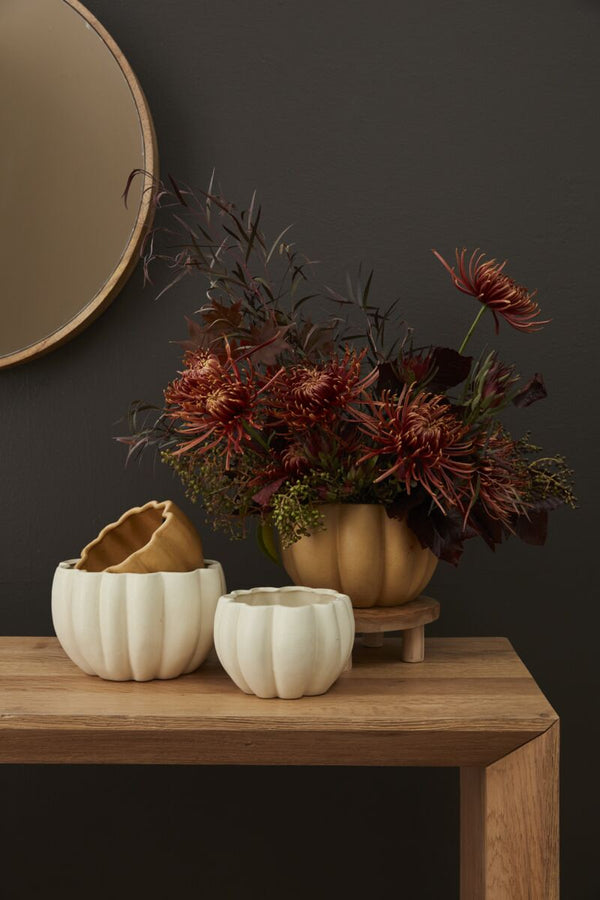 Spiced Pumpkin Pots (4 options)